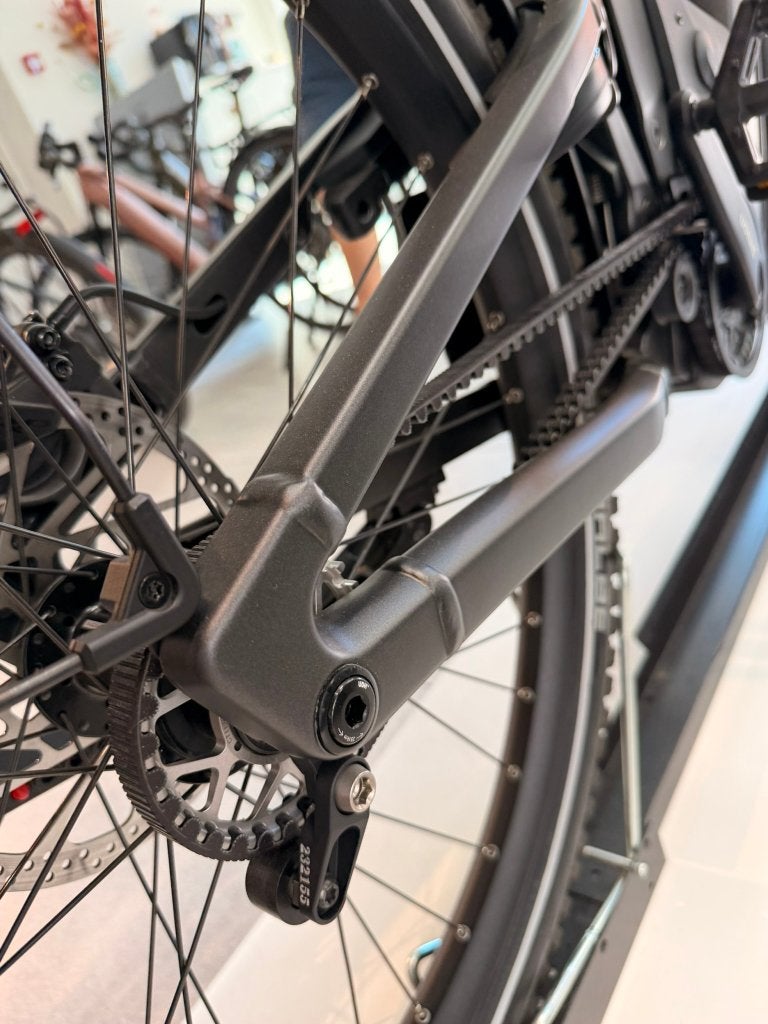 Riese & Müller Delite5 Pinion HS DEMOFIETS (SPEED PEDELEC), Info@ebikeasse.be, Nieuw, Riese & Müller, 47 tot 51 cm