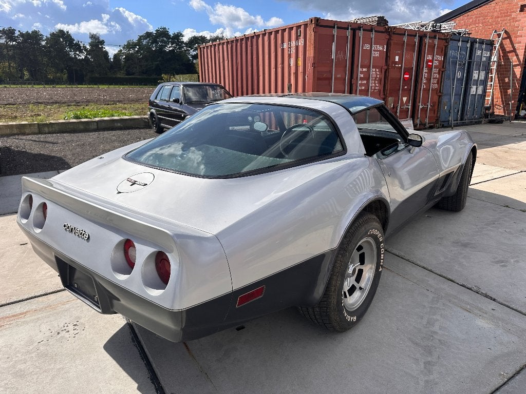 1981 Chevrolet Corvette C3, foto 6