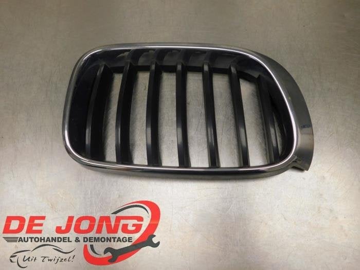 Grille van een BMW X3, Gebruikt, -, -, Ophalen of Verzenden