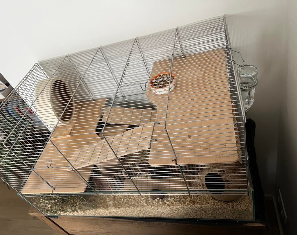 Kooi voor kleine dieren (78 x 47 x 44 cm), Kooi, Zo goed als nieuw, Hamster, 75 tot 110 cm