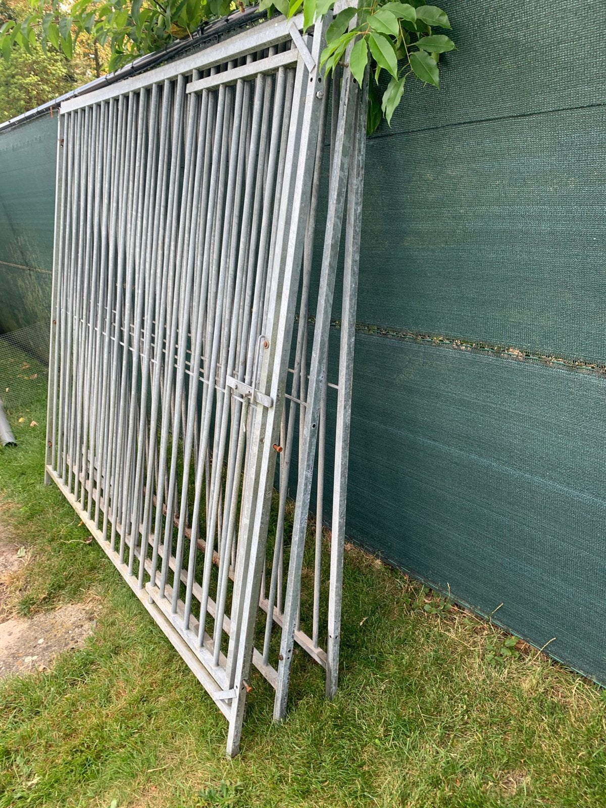 Hondenren, Ophalen, Hondenkennel, 100 cm of meer, 110 cm of meer