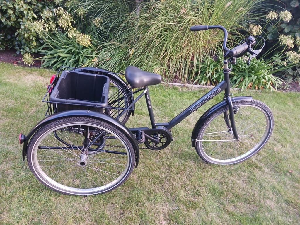 Driewieler voor  volwassen, Fietsen en Brommers, Fietsen | Driewielers, Ophalen