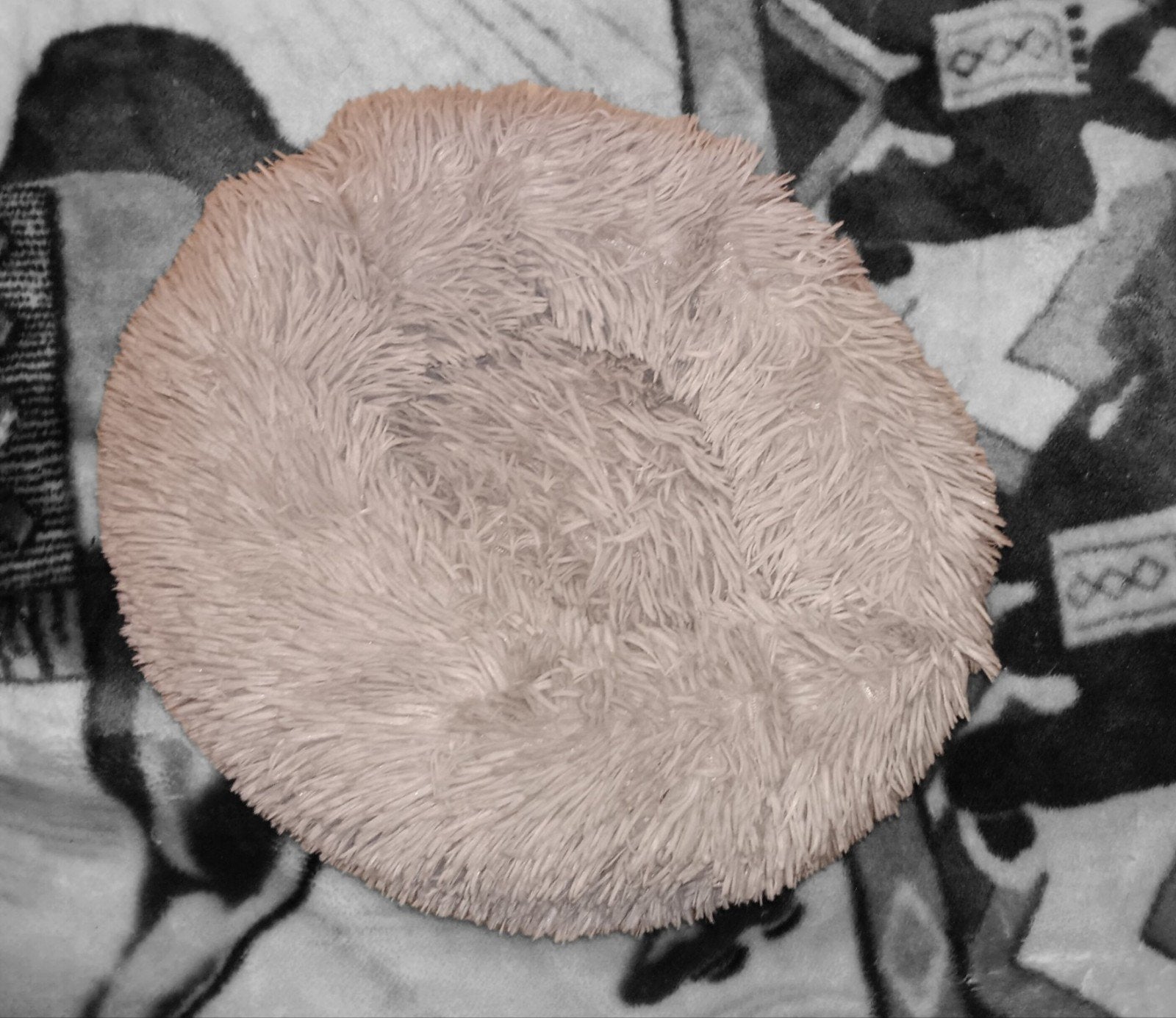 Katten/honden nestje in donutvorm, Enlèvement ou Envoi, Comme neuf, Peluche
