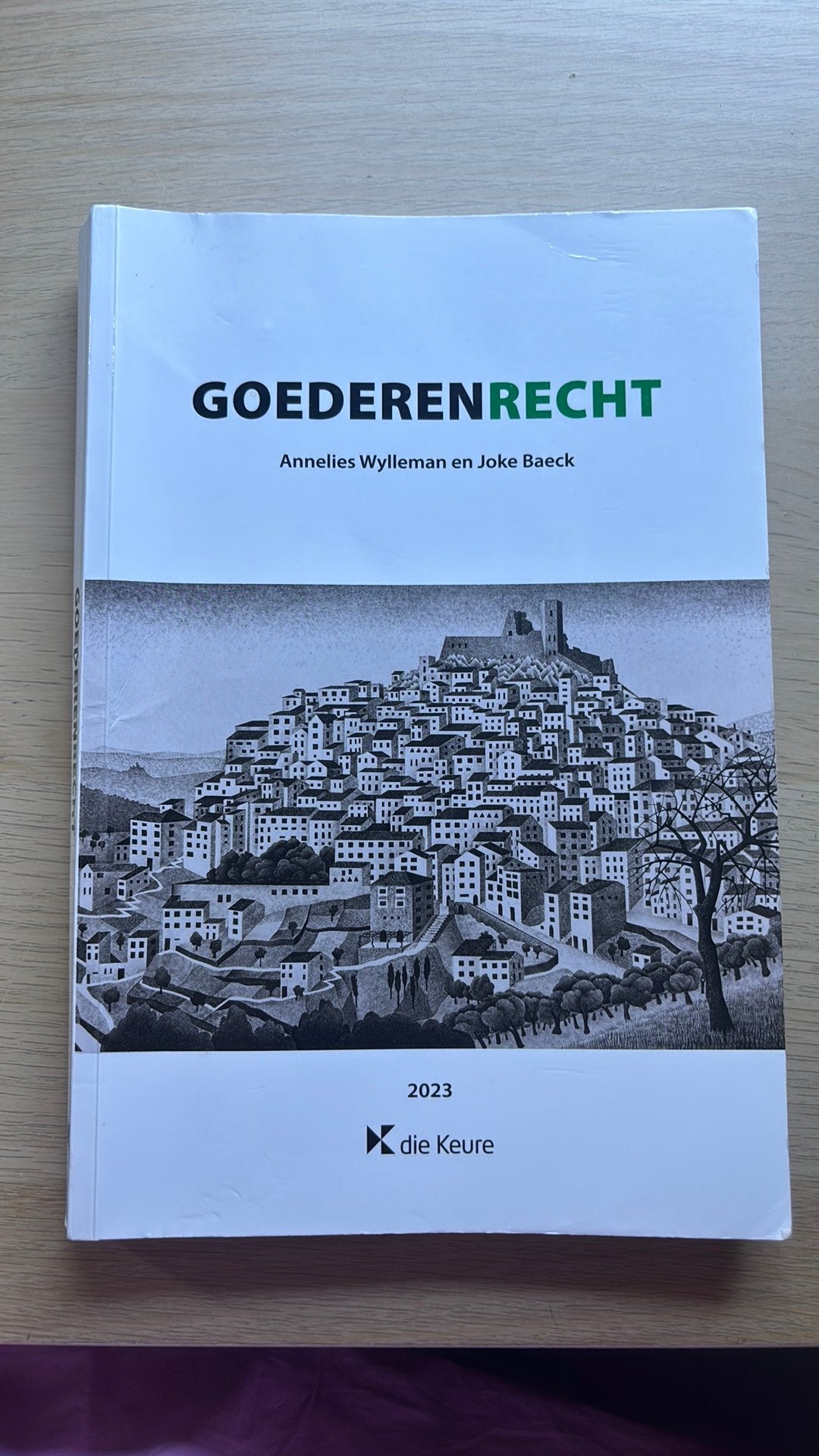 Handboek Goederenrecht 2023 - Annelies Wylleman, Joke Baeck, Boeken, Ophalen of Verzenden, Zo goed als nieuw