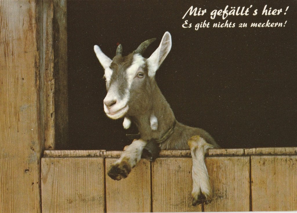 GEIT, Verzamelen, Ophalen of Verzenden, Ongelopen, Overige soorten