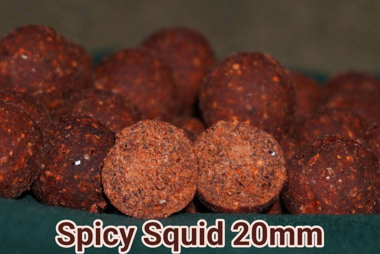 Spicy Squid 20mm boilies, Watersport en Boten, Ophalen of Verzenden, Nieuw, Overige typen