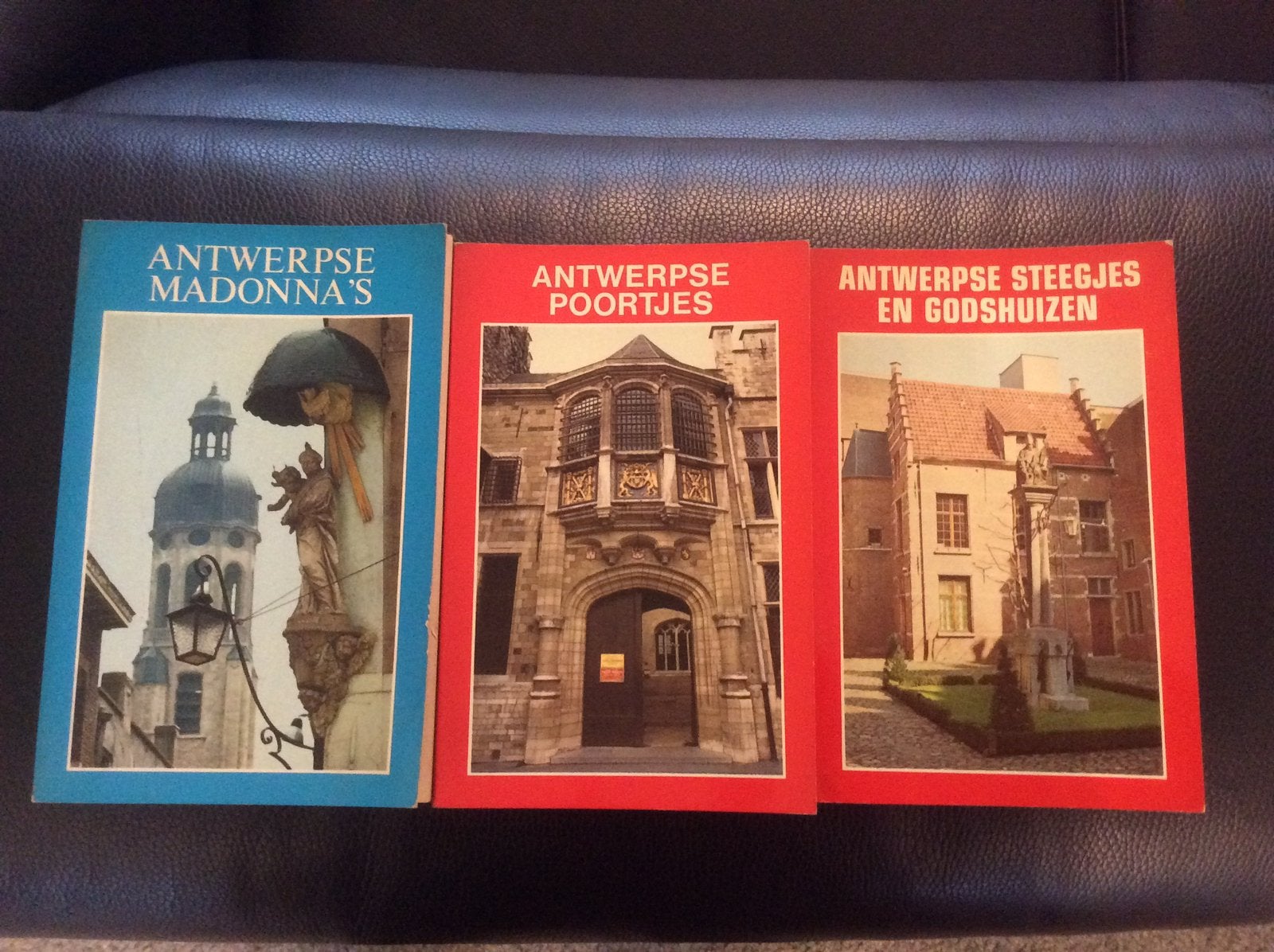 Antwerpse madonna’s, Antwerpse poortjes, Boeken, Ophalen of Verzenden, Zo goed als nieuw