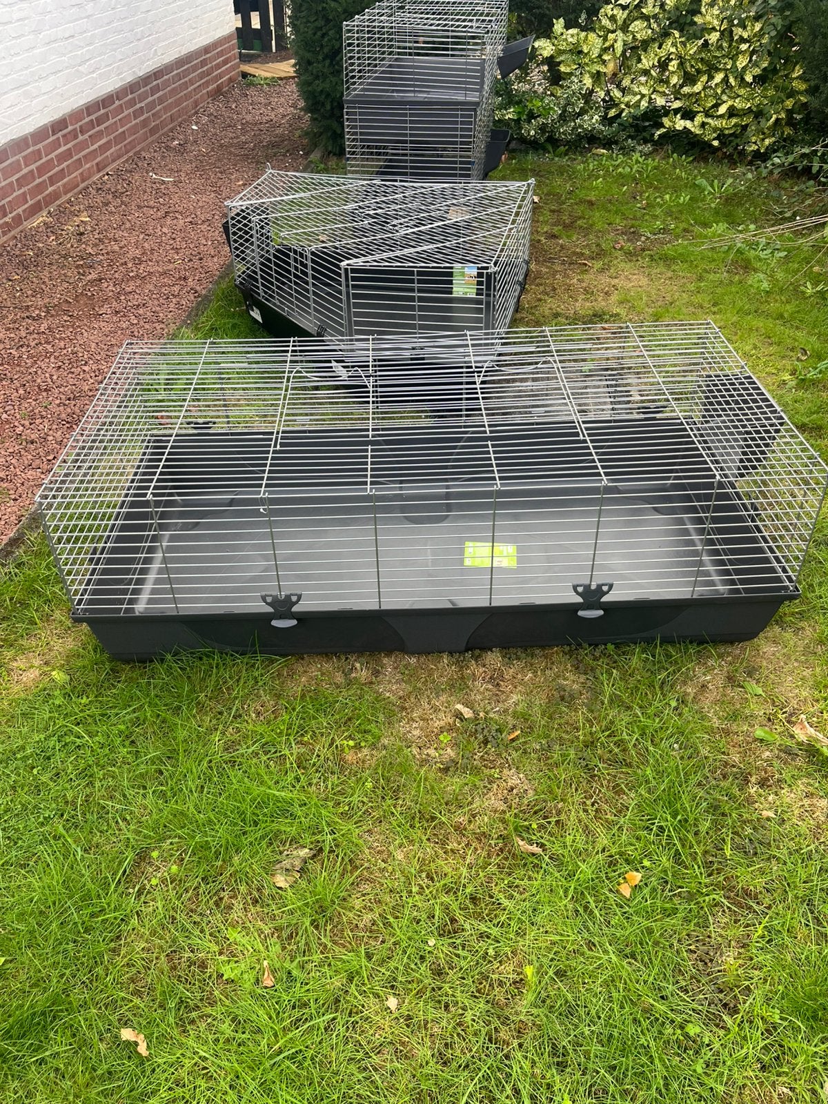 Grote dierenkooi voor konijntjes of cavia’s, Enlèvement, Neuf, Cage, Chinchilla