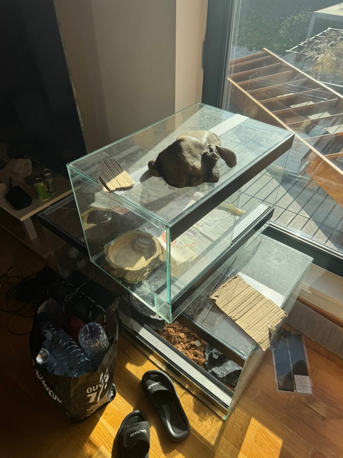 Terrarium à vendre, Enlèvement, Comme neuf