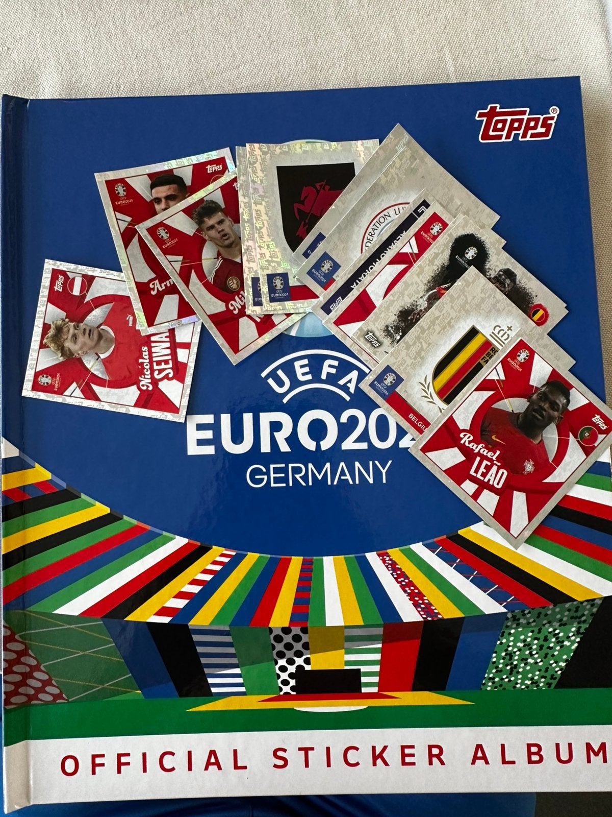 Euro2024 sticker varianten, Enlèvement, Comme neuf, Autocollant