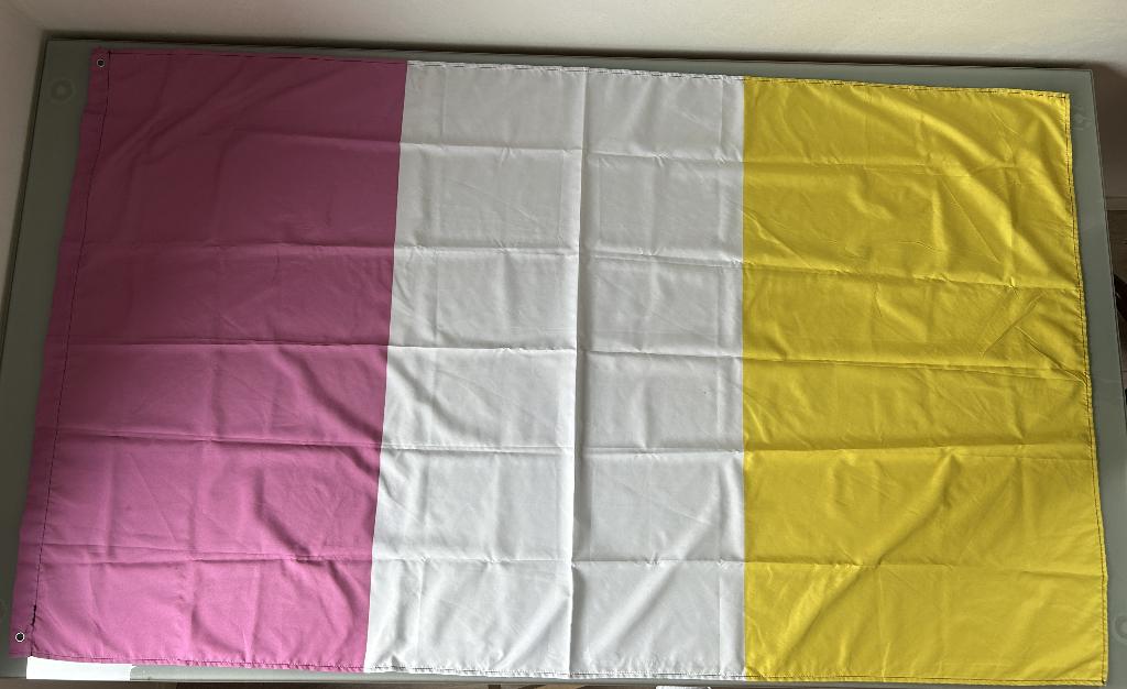 Drapeau de la ville d'Ath, Enlèvement, Utilisé