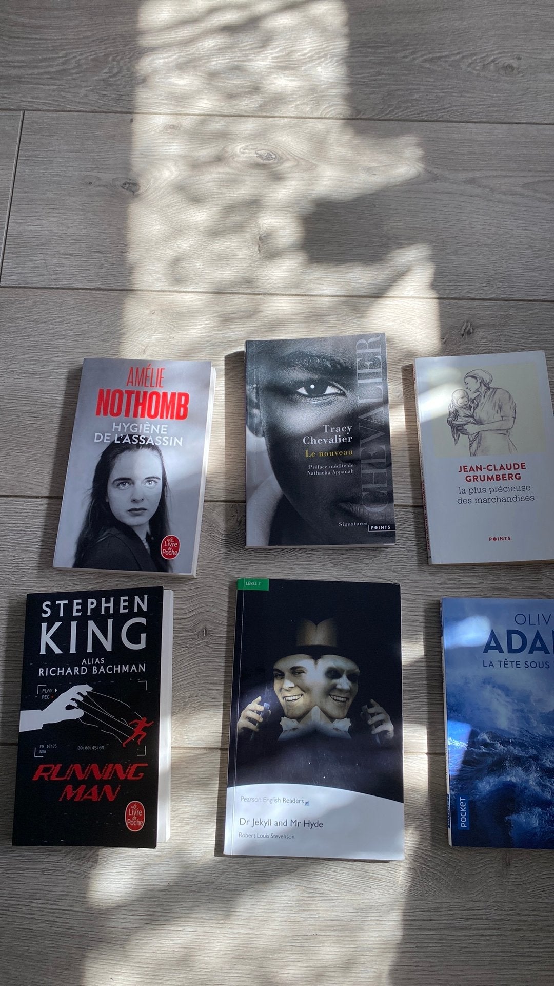 Livres francais et un en anglais (dr jekyll and mr hyde), Boeken, Detectives, Ophalen, Zo goed als nieuw
