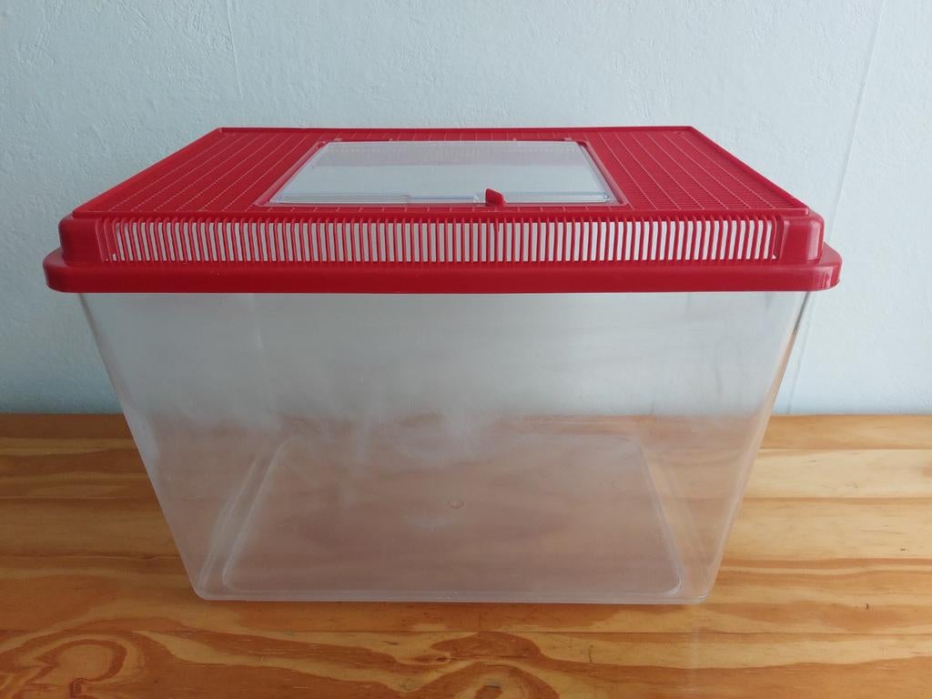 Aquarium, Animaux & Accessoires, Poissons | Aquariums & Accessoires