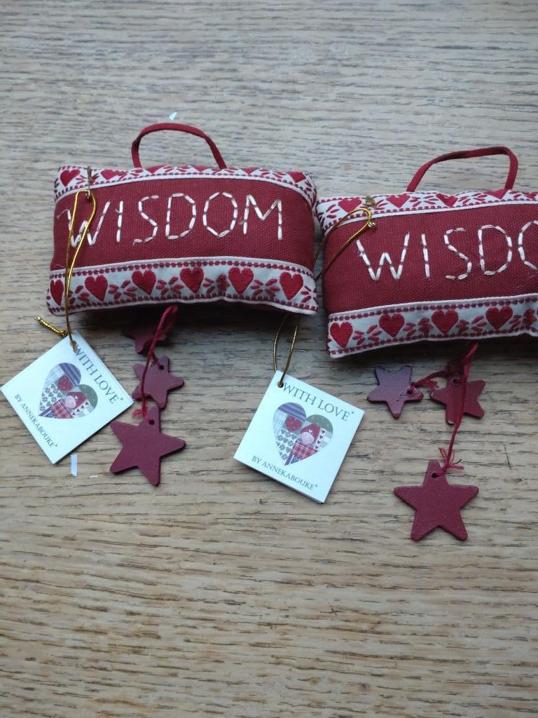 2x wijsheids kussen, Ophalen of Verzenden, Nieuw