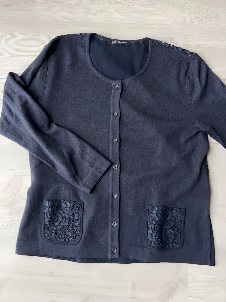 Magnifique pull bleu marine Luisa Cerano 38, Vêtements | Femmes, Pulls & Gilets, Comme neuf, Taille 38/40 (M), Bleu, Enlèvement ou Envoi
