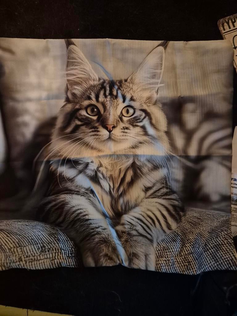 Kussensloop maine coon kat, Verzenden