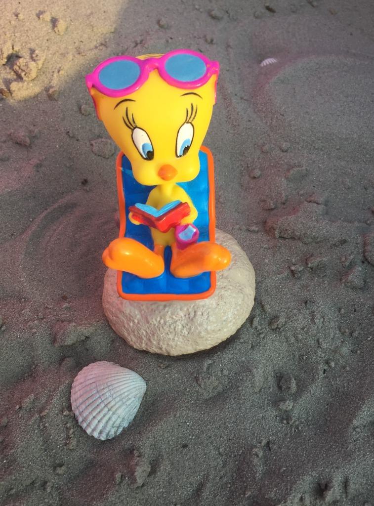 FIGURINE TITI A LA PLAGE - WARNER BROS, Enlèvement ou Envoi, Neuf, Autres types