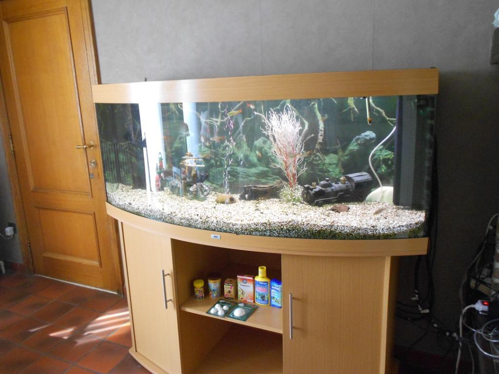 Mooie  groote Juwel aquarium 450l, Dieren en Toebehoren, Vissen | Aquaria en Toebehoren, Ophalen, Gebruikt, Gevuld zoetwateraquarium