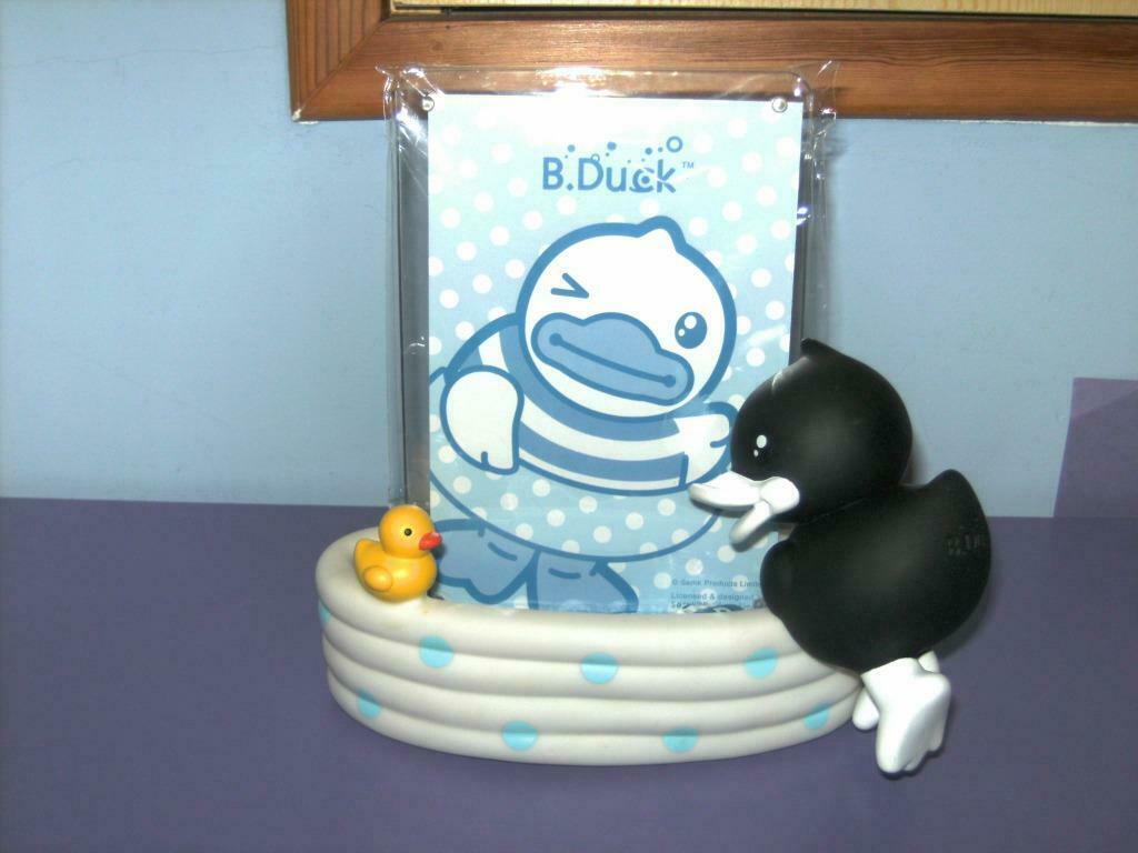 B.duck fotokader., Ophalen of Verzenden, Nieuw, Overige typen