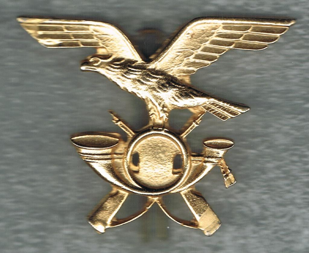 Italian Cap Badge ( H1 ), Ophalen of Verzenden, Landmacht, Embleem of Badge