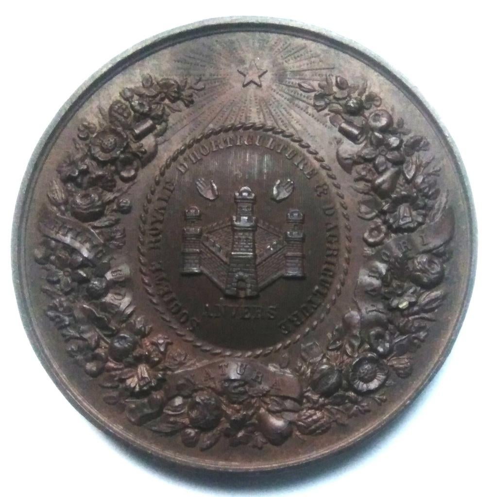 médaille Anvers société royale d'horticulture& d'agriculture, Enlèvement ou Envoi, Bronze