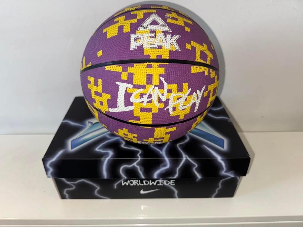 Ballon Basket-ball, Sports & Fitness, Basket, Enlèvement, Comme neuf, Ballon