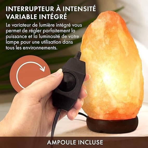 Lampe en cristal de sel de l'Himalaya | LIVRAISON GRATUITE, Maison & Meubles, Neuf, -, -, THE BODY SPURCE