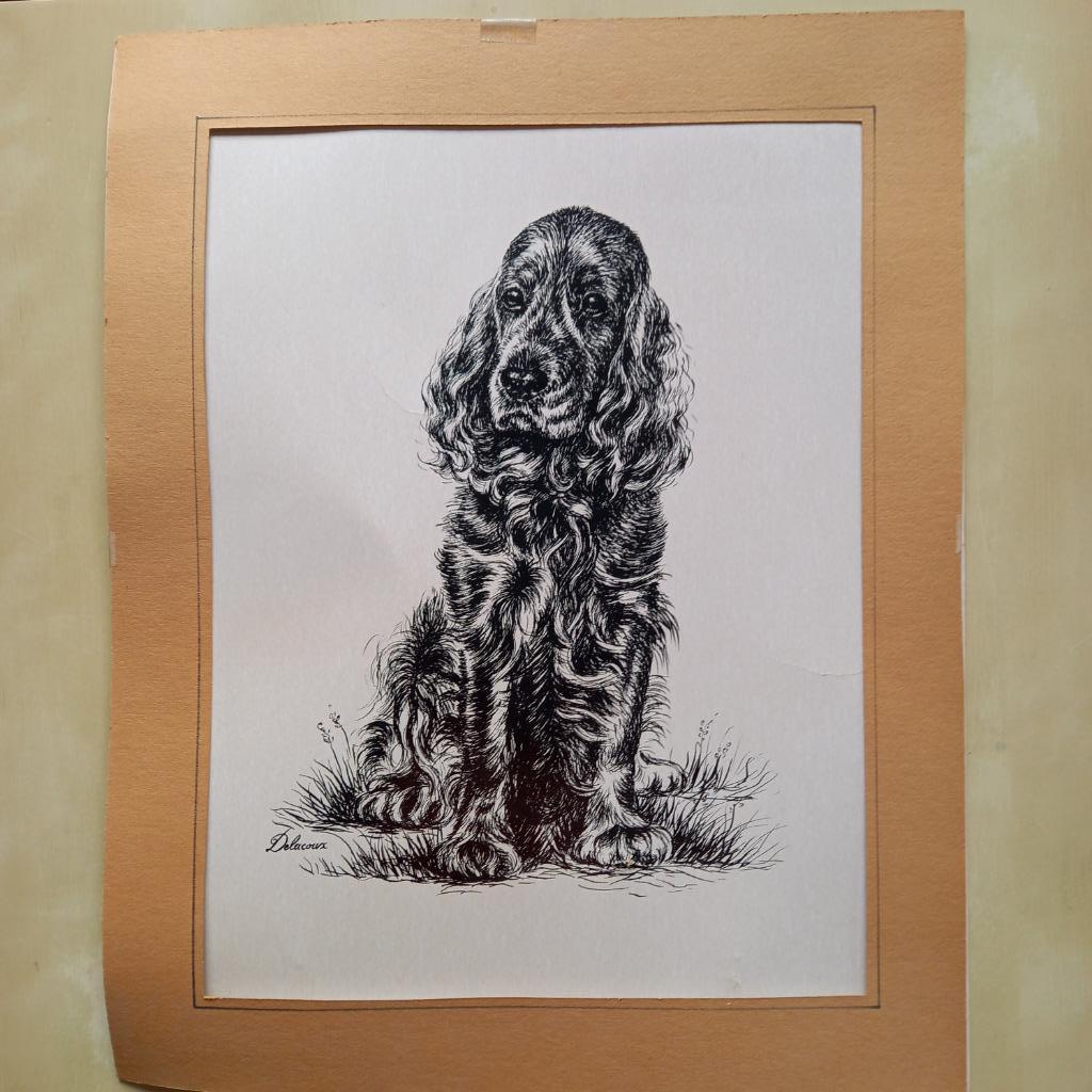 Hond pentekening in passe-partout, getekend Delacoux, Ophalen