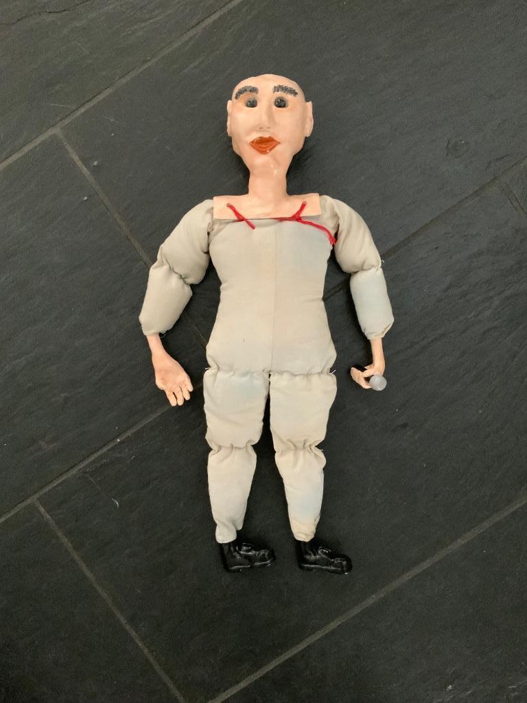 Pop zanger, Ophalen of Verzenden, Gebruikt, Overige typen