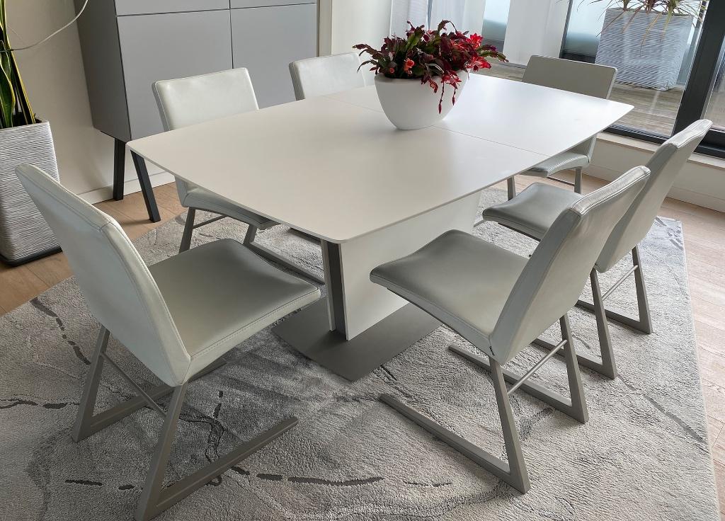 Wit lederen eetkamerstoelen / PRIJS VERLAAGD naar 200,00 €, Comme neuf, Enlèvement, Cinq, Six Chaises ou plus, Modern hedendaags