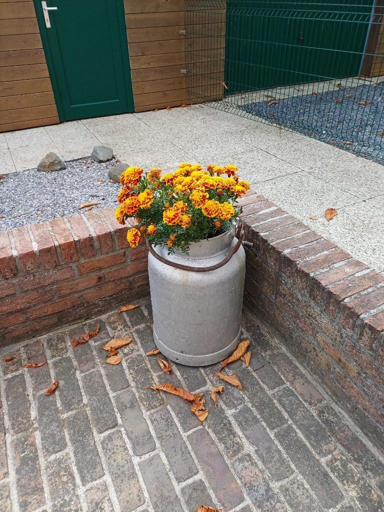 Melkkruik, Antiek en Kunst, Ophalen