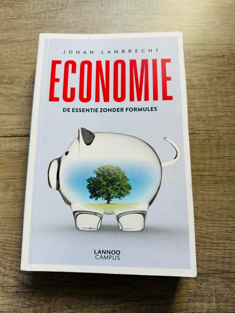 Economie de essentie zonder formules Johan Lambrecht, Boeken, Ophalen, Zo goed als nieuw, Economie en Marketing