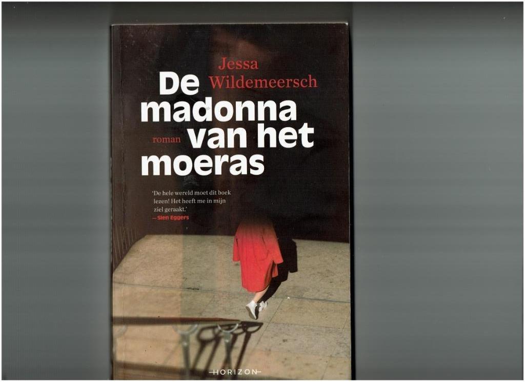 boek "De madonna van het moeras", België, Ophalen of Verzenden, Zo goed als nieuw, Jessa Wildemeersch