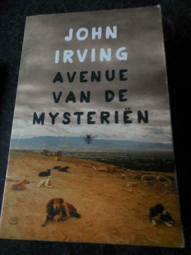 [1809]boek : avenue van de mysteriën John Irving, Boeken, Ophalen of Verzenden, Zo goed als nieuw, John Irving