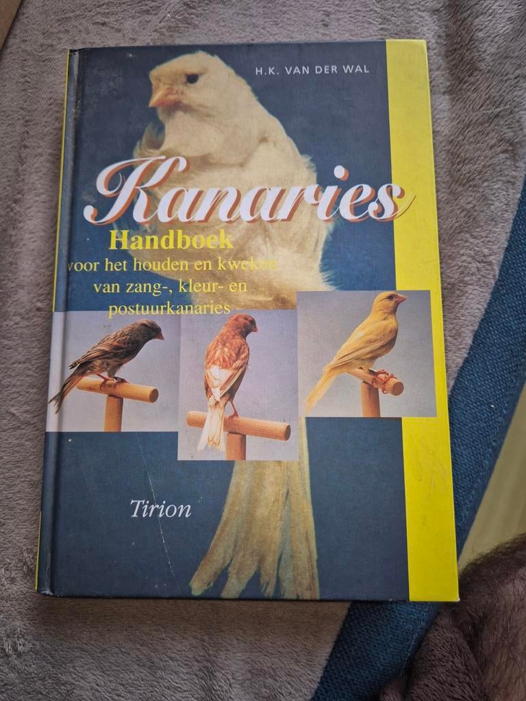 H.K. van der Wal - Kanaries, Ophalen of Verzenden, H.K. van der Wal