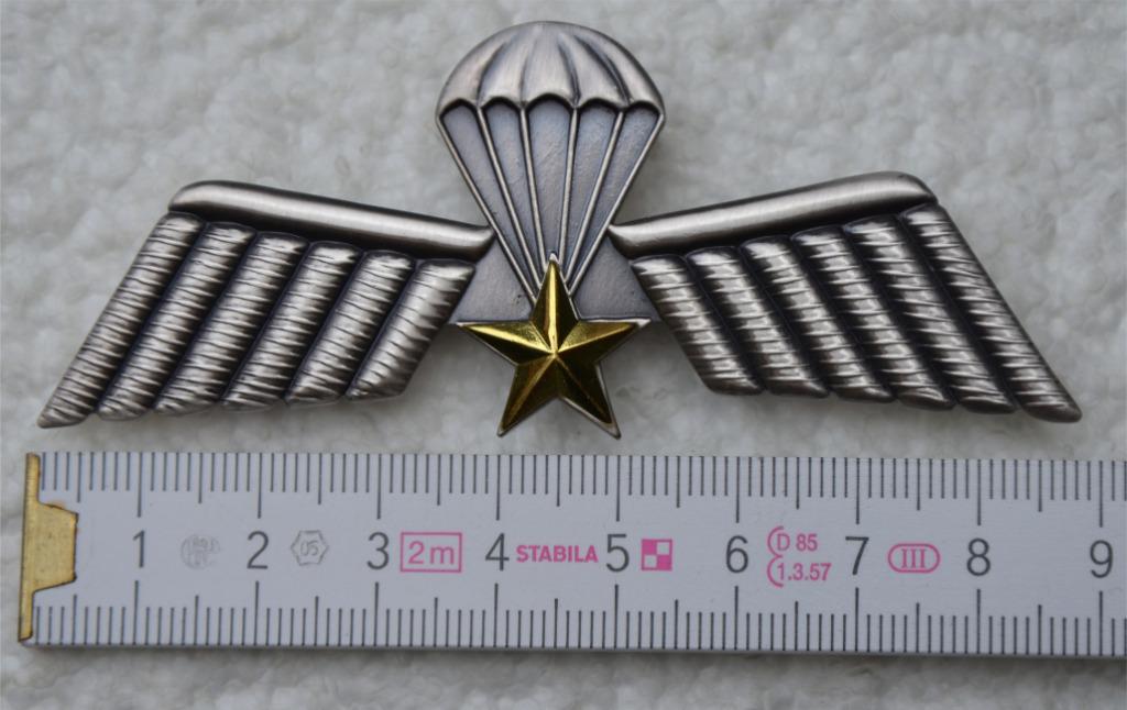 NL PARA Wing in metaal, Origineel, Groot model 90mm, ZG, Ophalen of Verzenden, Landmacht, Embleem of Badge