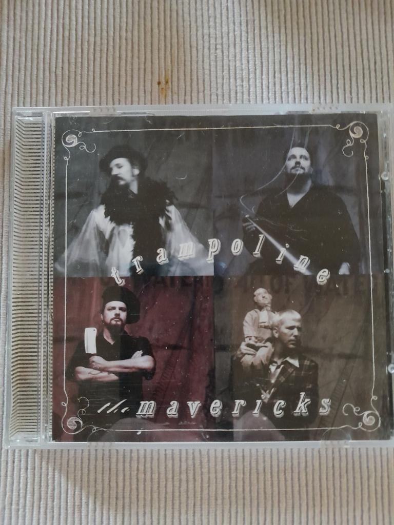 The mavericks , trampoline, Cd's en Dvd's, Ophalen of Verzenden, Gebruikt