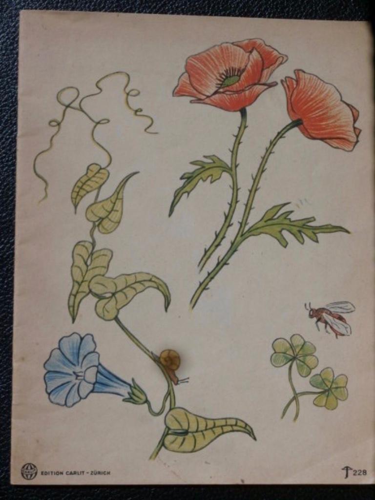 Kleurboek(vintage) édition CARLIT, Ophalen of Verzenden, Zo goed als nieuw