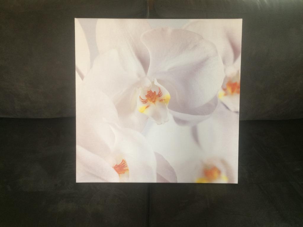 cadre orchidée (grand format 57 x 57 cm) - Ikéa, Maison & Meubles, Enlèvement, Comme neuf, 50 à 75 cm, 50 à 75 cm