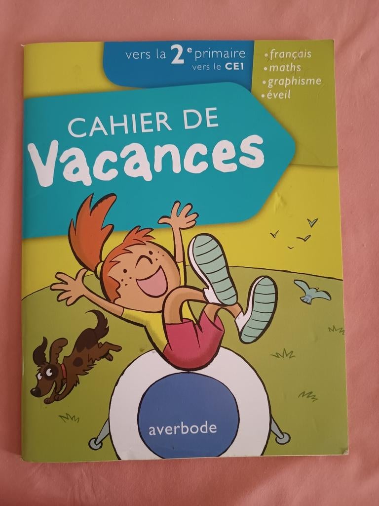 Cahier de vacances vers la 2ème primaire/CE1, Livres, Enlèvement ou Envoi, Comme neuf, Non-fiction