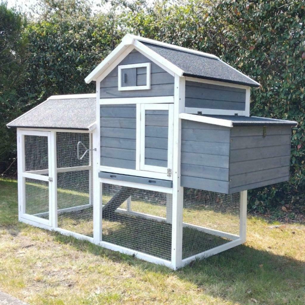 Poulailler XXL abri 6 poules pondoirs abri coq enclos XXL, Animaux & Accessoires, Volatiles | Accessoires, Neuf, Poulailler, Envoi