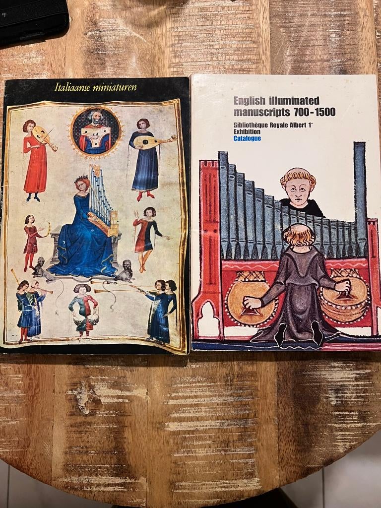 2 boeken rond middeleeuwse miniaturen: Italiaanse miniaturen, Boeken, Ophalen of Verzenden, Gelezen, Overige onderwerpen