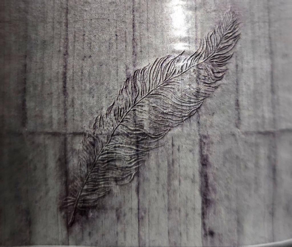 Papier peint photo, papier peint polaire 3,50 m x 2,50 m, Enlèvement ou Envoi