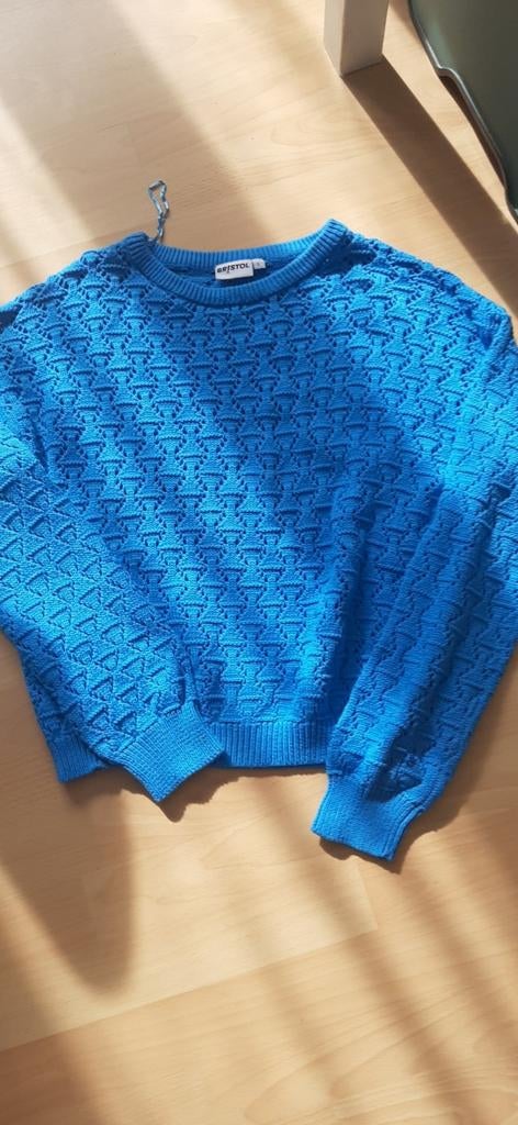 Trui bristol zgan maat L, Kleding | Dames, Ophalen of Verzenden, Maat 42/44 (L)