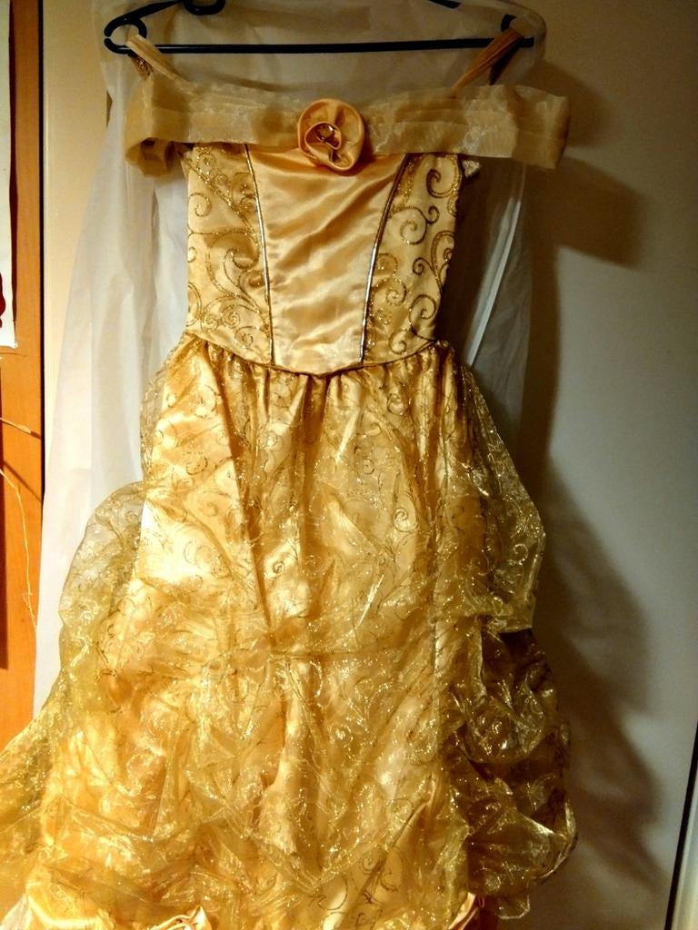 Deguisement Disney la belle et la bête, Vêtements | Femmes, Enlèvement