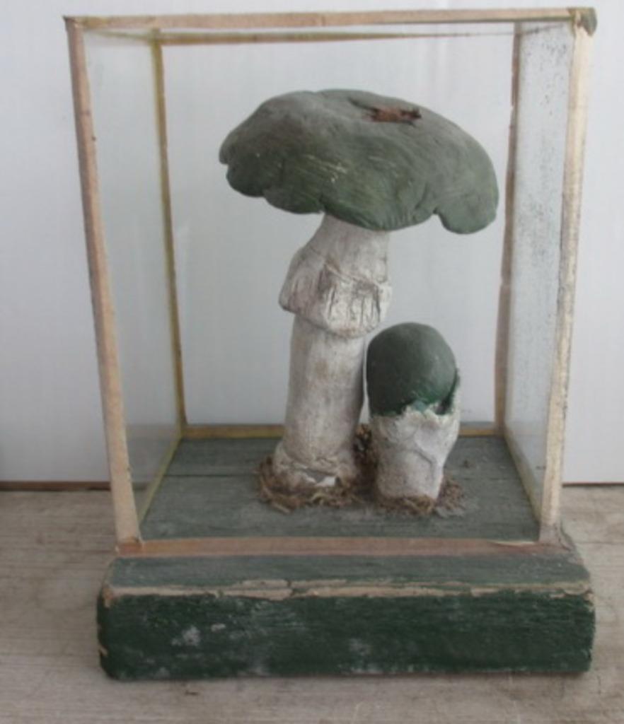 antieke botanische modellen paddestoelen in glazen box  51, Verzenden