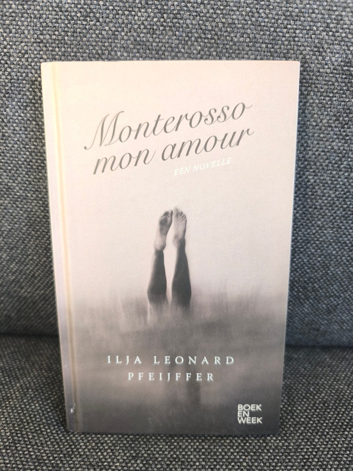 Monterosso, mon amour (Ilja Leonard Pfeijffer), Boeken, Ophalen, Zo goed als nieuw, Ilja Leonard Pfeijffer, Nederland