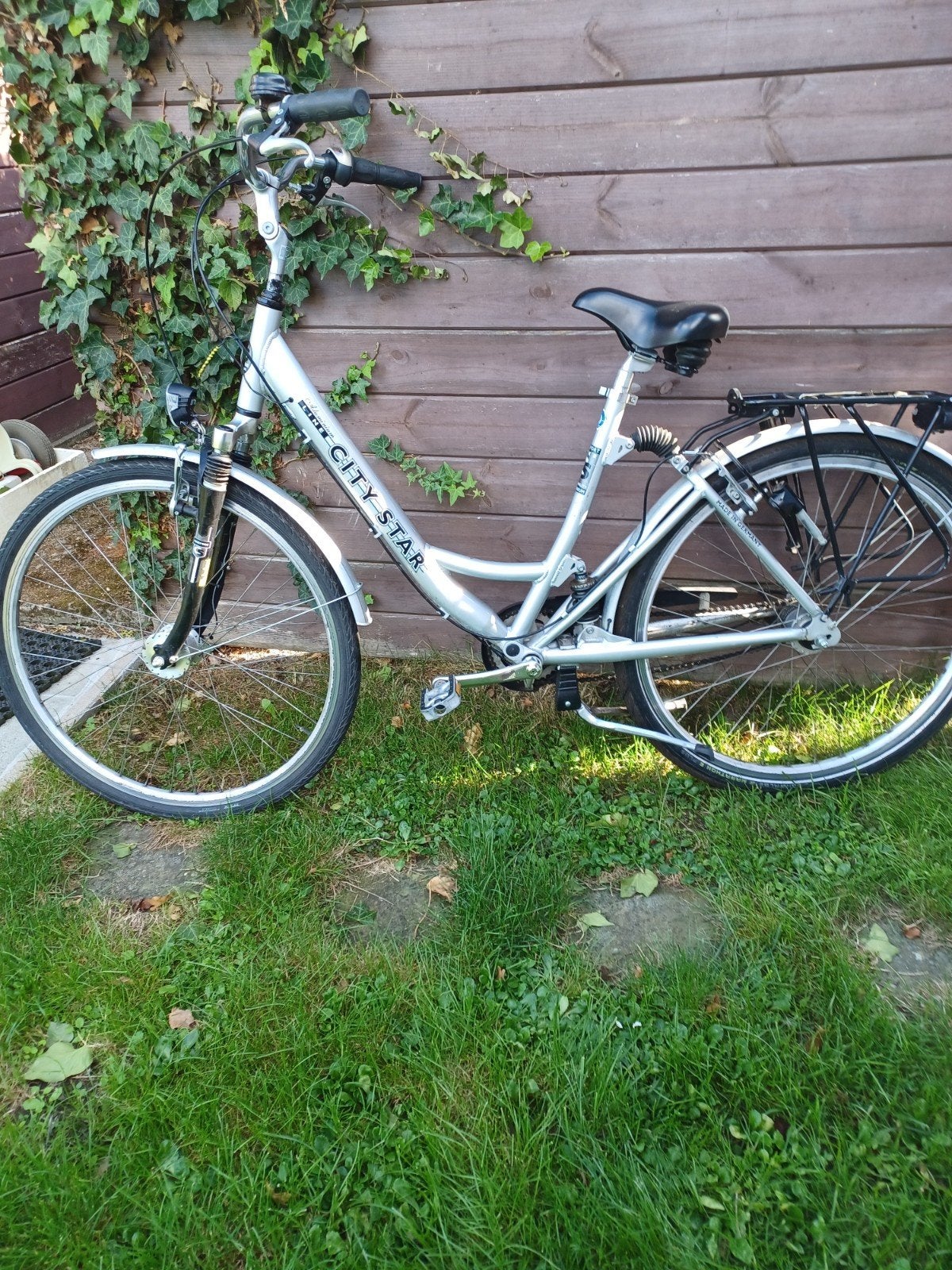 damesfiets 28 inch, Enlèvement