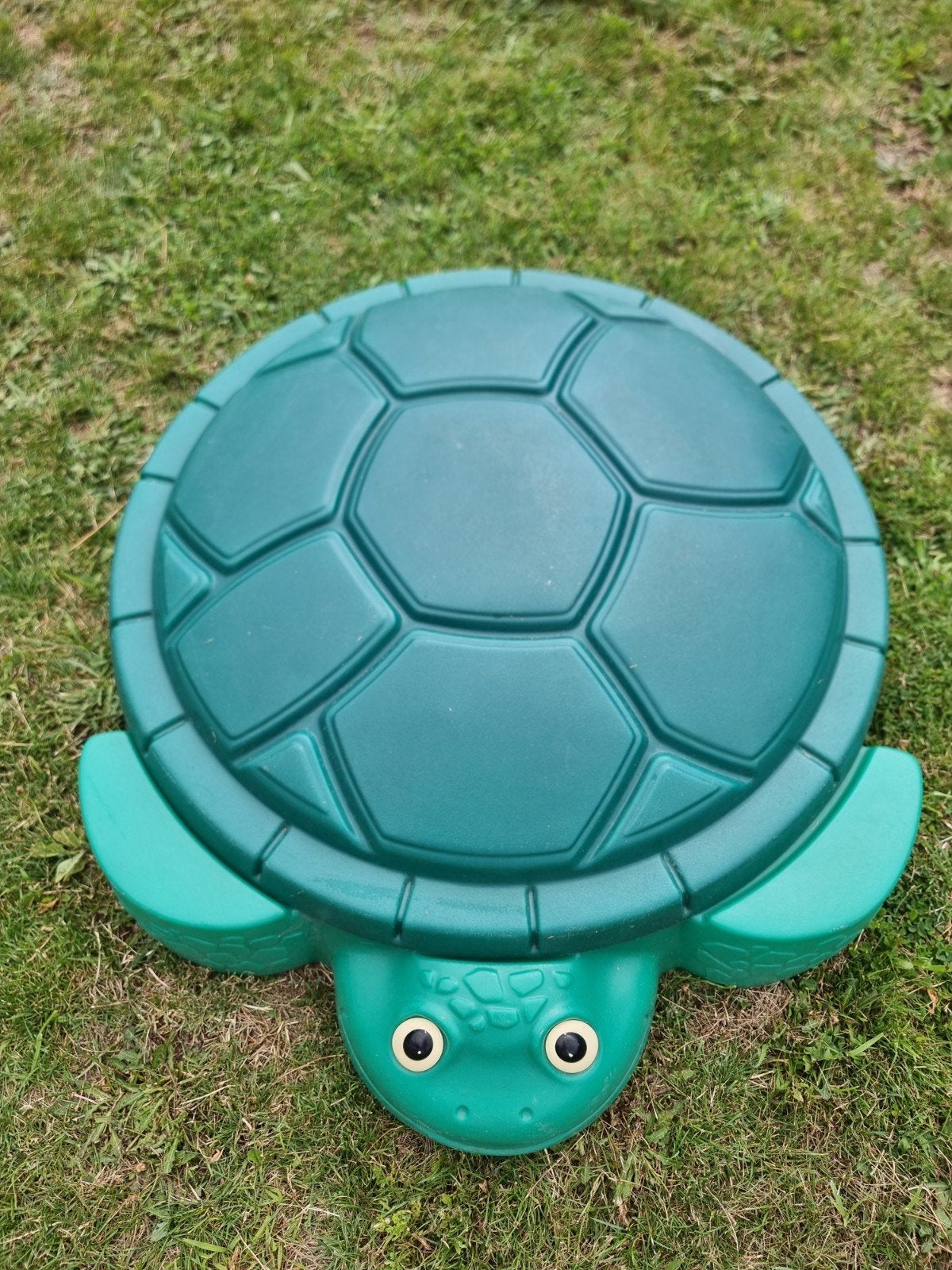 Little tikes schildpad, Enlèvement