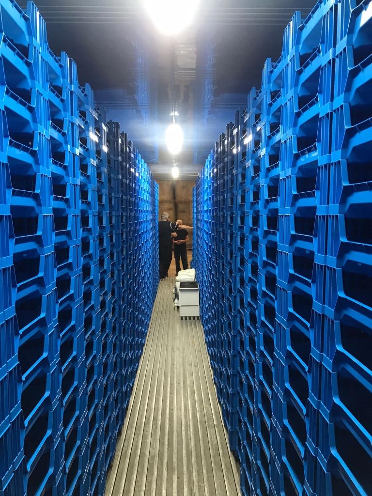 Kweekbakken meelwormen te koop, Dieren en Toebehoren, Ophalen, Zo goed als nieuw